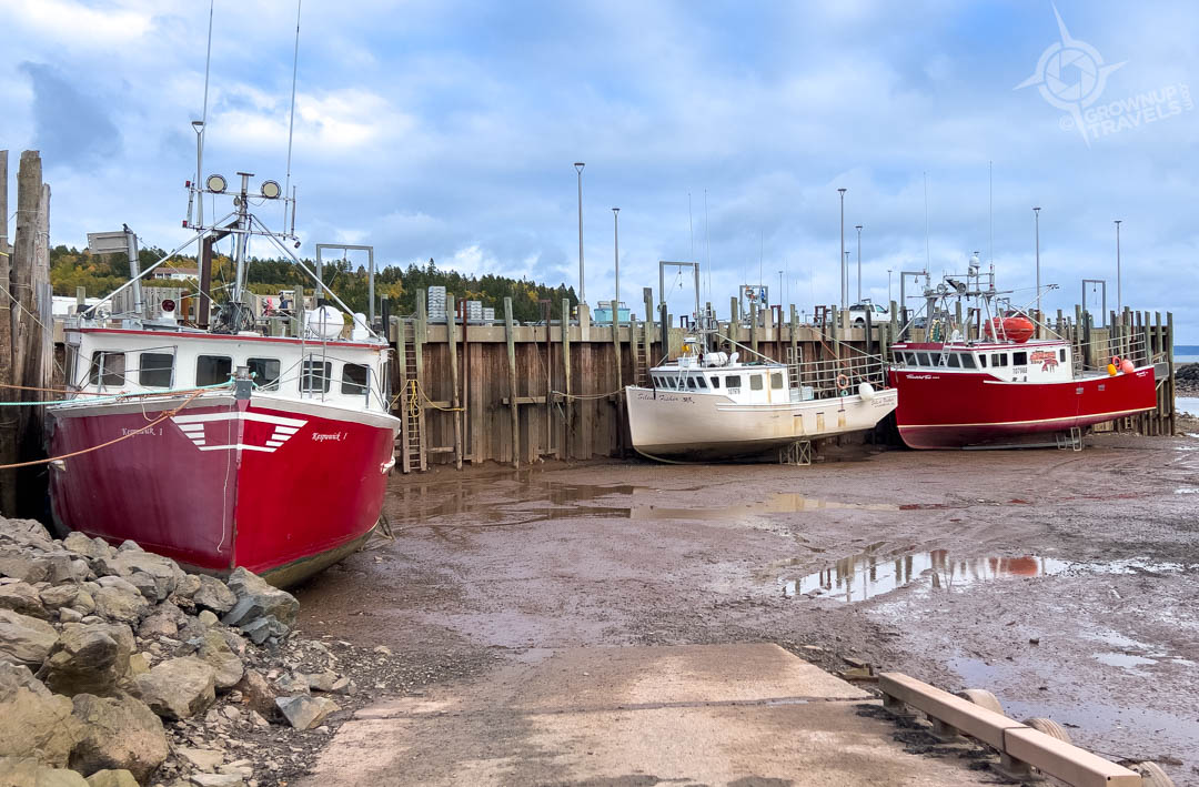 NB Alma low tide boats