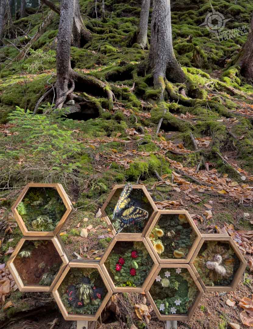 NB Fundy National Park artwork by Danielle Smith