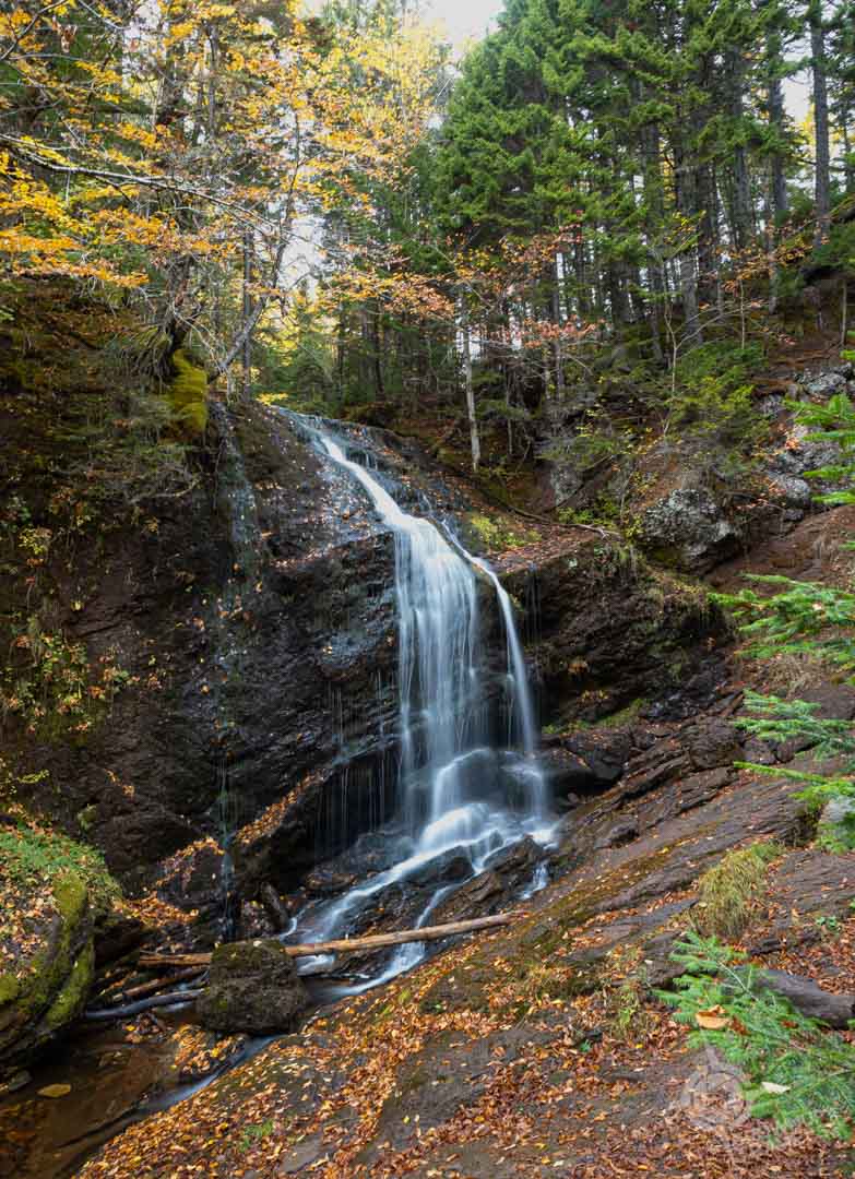 NB Fundy Trail McLeod waterfall