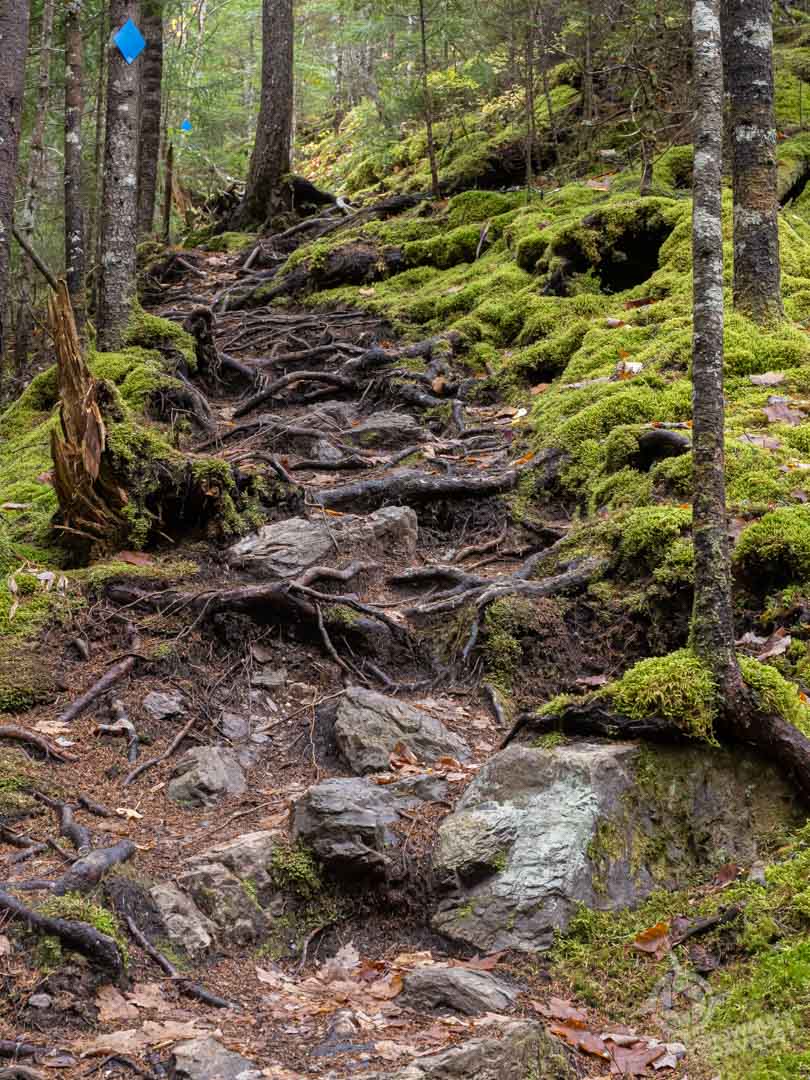 NB Fundy Trail Walton Glen Gorge path to McLeod Brook creek
