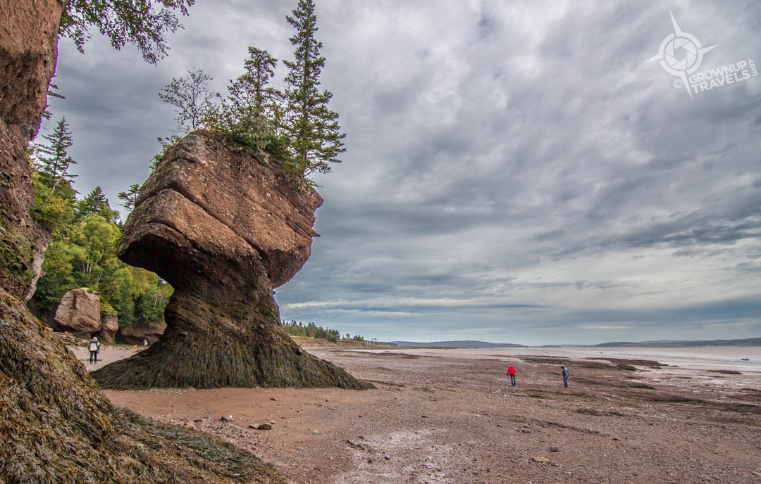 NB Hopewell rocks walking on the ocean floor