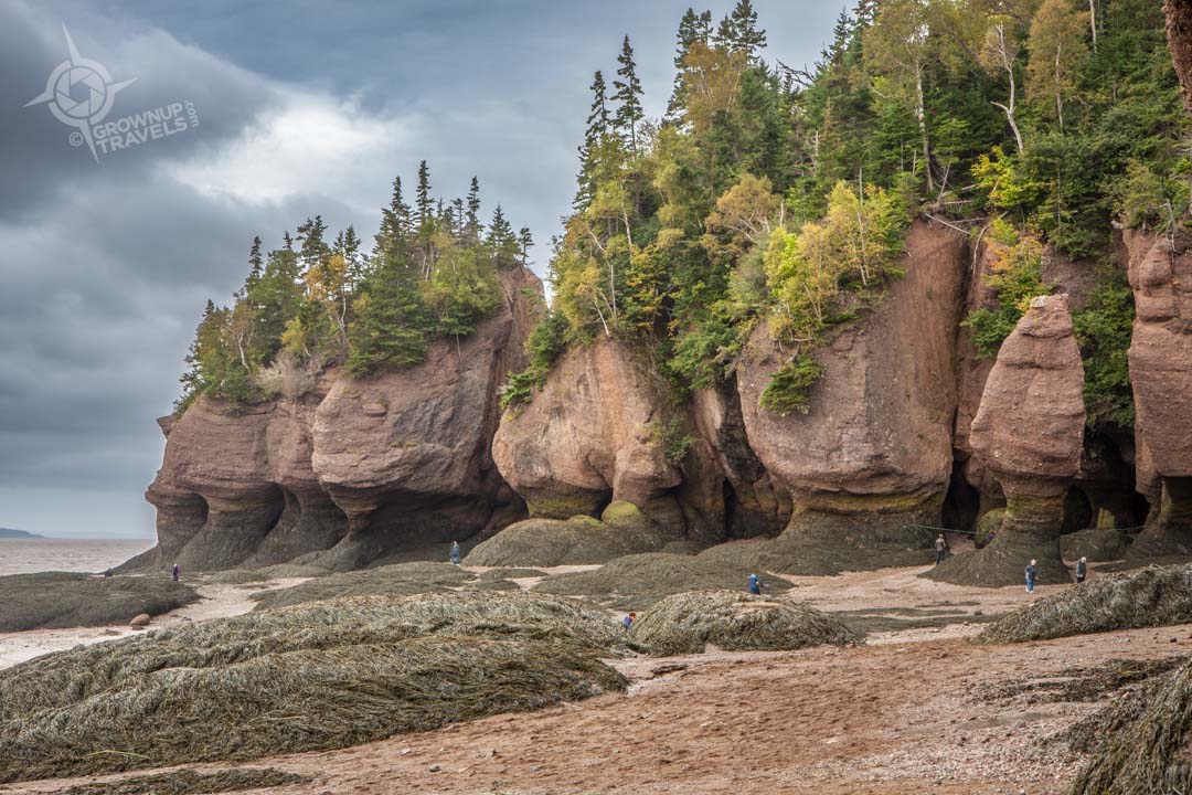 NB Hopewell rocks shoreline