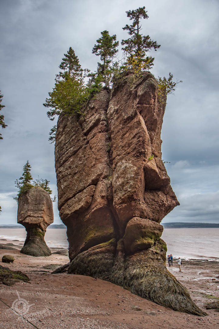 NB Hopewell rocks-1-7