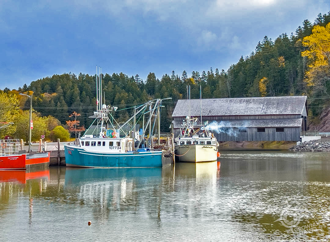 NB St martins harbour sunny day