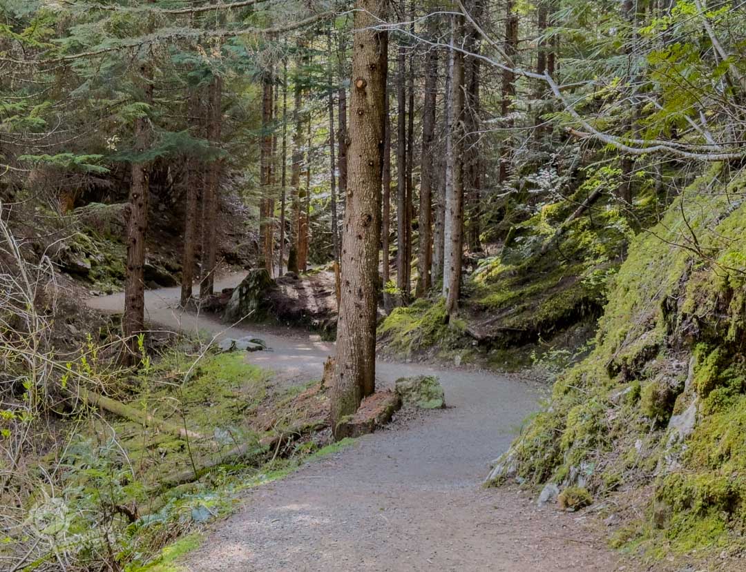 The Train Wreck Trail Whistler