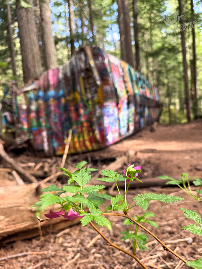 flower with boxcar in background