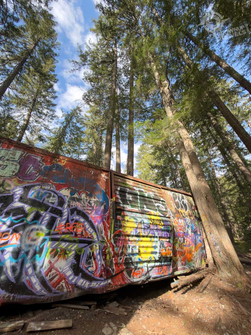 graffitied boxcar between trees on Train Wreck Trail Whistler
