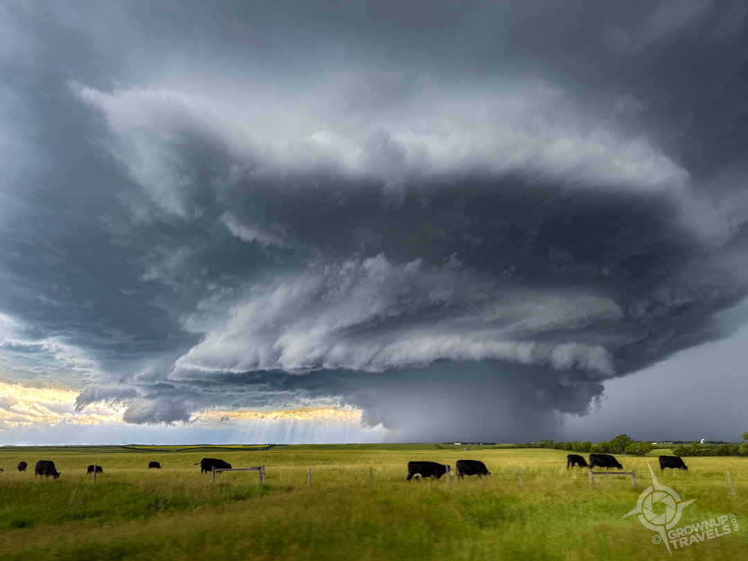 Storm Chasing Saskatchewan storm cell forming over cows