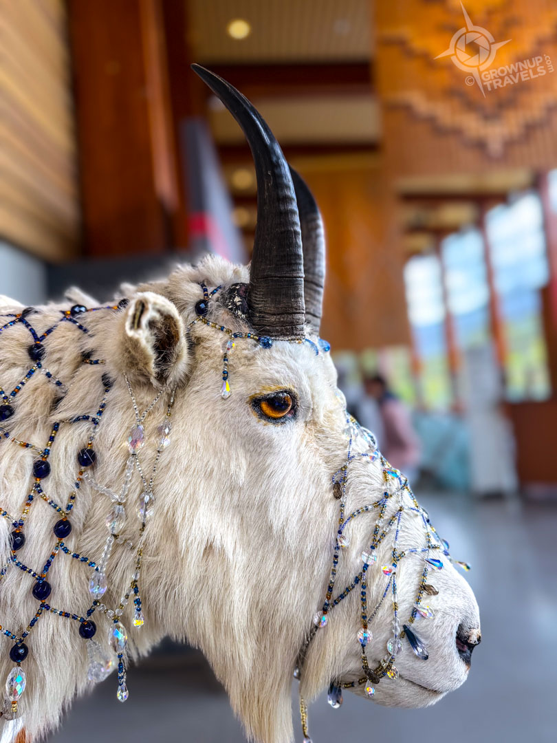 Decorated Mountain Goat at Indigenous Cultural Centre Whistler BC