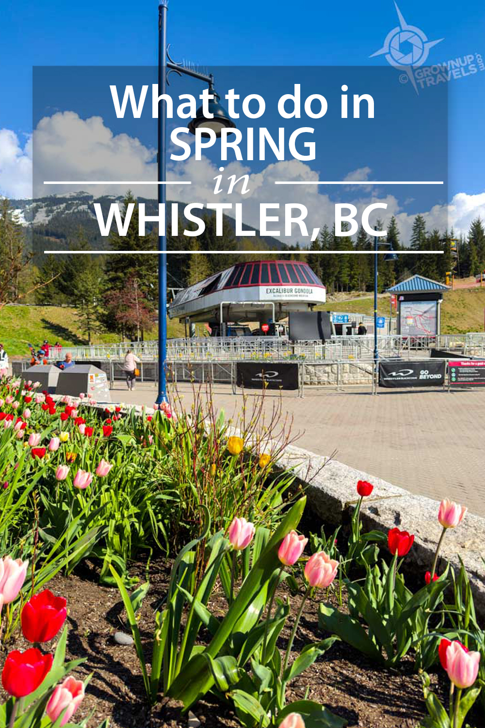 PINTEREST_Whistler spring