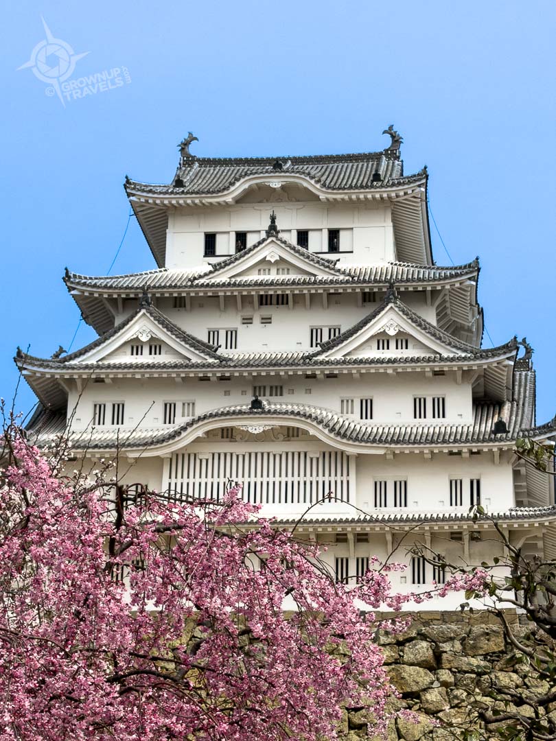 Himeji castle from courtyard with blossoms