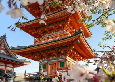 Kiyomizu-dera temple pagoda Kyoto with blossoms