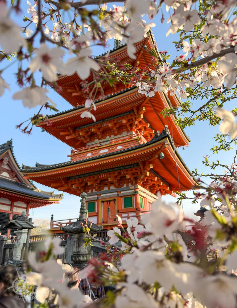 Kiyomizu-dera temple pagoda Kyoto with blossoms