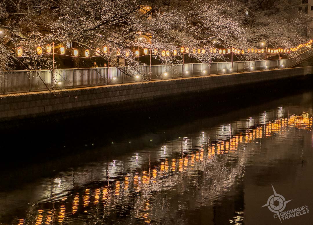 Tokyo bridge lanterns at night reflected