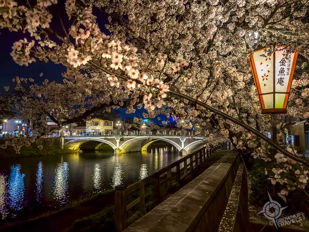 boardwalk beside river with cherry blossoms in Kanazawa at night