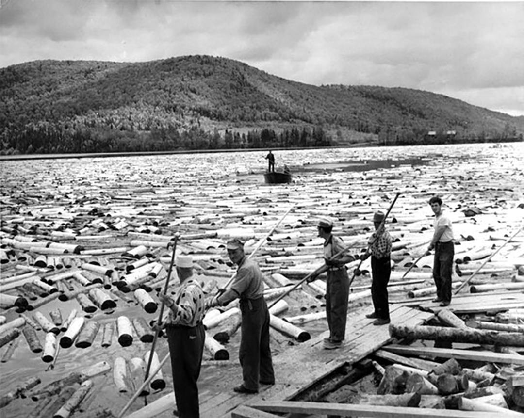 log drivers Canada